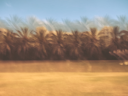 Spring blurred tree. Abstract motion blur effect.の写真素材