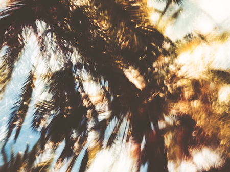 Spring blurred tree. Abstract motion blur effect.の写真素材