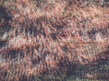Spring blurred flowers. Abstract motion blur effect.の写真素材