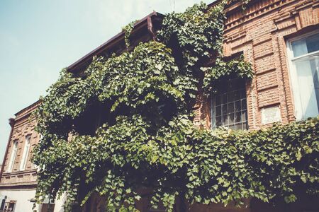 Old Tbilisi architecture, windows and balcony exterior decor in summer day.の写真素材