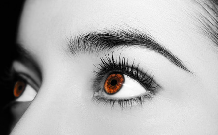 A beautiful insightful look woman's eye. Close up shot.の写真素材