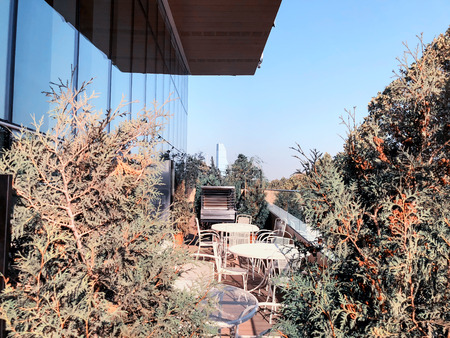 View of the city from the modern shopping mall Galleria in Tbilisi, Georgia. Deciduous trees on the...