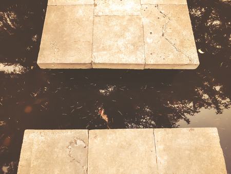 Autumn in the park, trees, reeds near the pond, reflection of trees in a pond. Falling foliage. Colors of autumn.の写真素材