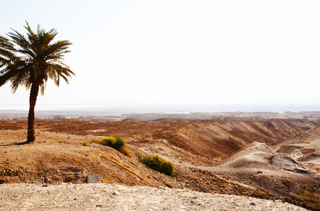 View from the Masada on the desert on a sunny day.の写真素材