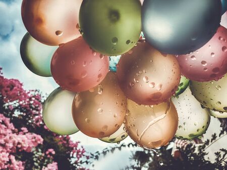 Air balloons background, big bunch of helium balloons, happy birthday, surprise for holiday, decoration. Festive background .の写真素材