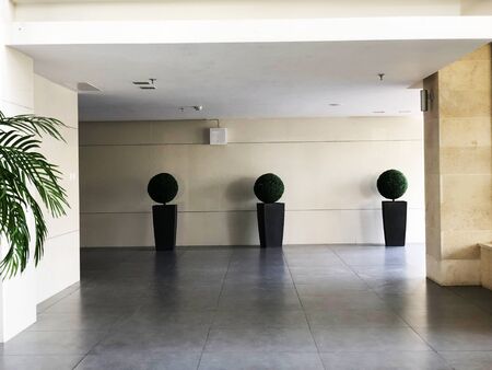 Green plants in pots in the vestibule of the building.