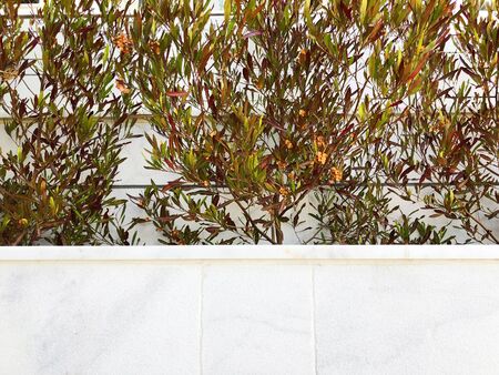 Fence of bricks on the street in  flowers and green plants.