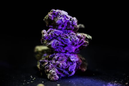 Cannabis bud on black background. Macro Marijuana の写真素材