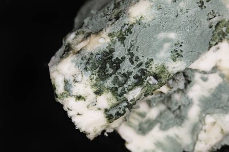 Close-up of soft blue cheese , macro shot.の写真素材