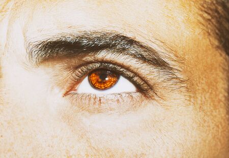 A beautiful insightful look eye. Close up shotの写真素材