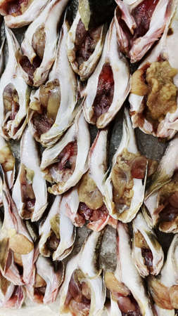 Fish market. Various species of frozen and fresh caught fish.