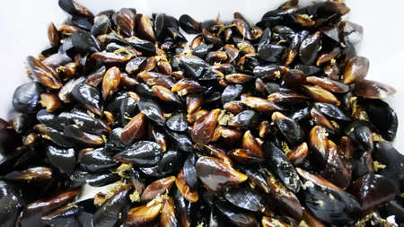 Delicious mussels on the fish market counters .