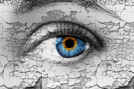 A beautiful insightful look woman's eye. Close up shot