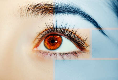 A beautiful insightful look woman's eye. Close up shot.の写真素材