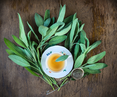 Tea with fresh leaves say, top viewの写真素材