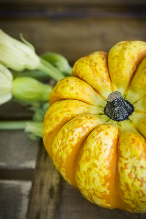 yellow  pumpkin, clouse upの写真素材