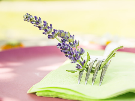 Fork with lavender flowers on green napkin in red plate, table decorationの写真素材