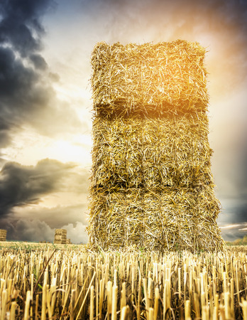 straw bale on square against backdrop of cloudy sunset skyの写真素材
