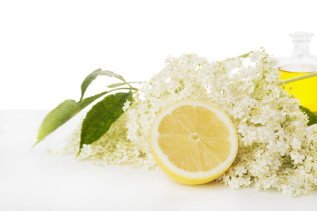 Elder flowers with lemon and bottle of syrup, isolated on white backgroundの写真素材