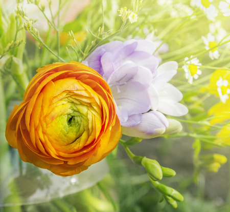 orange buttercup in bouquet, floral backgroundの写真素材