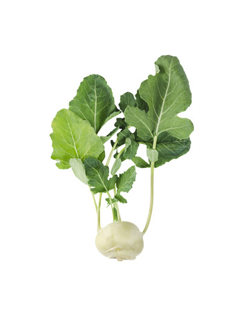 fresh kohlrabi, turnip cabbage, with green leaves, isolatedの写真素材