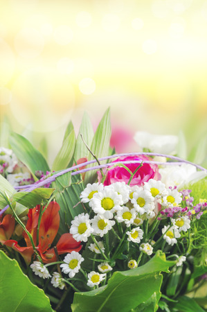 colorful flowers on sunny backgroundの写真素材