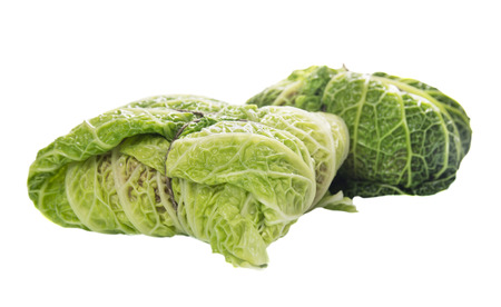Savoy cabbage roll preparation,isolatedの写真素材