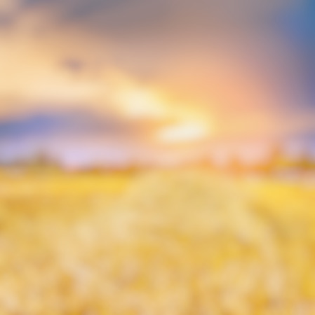 Blurred sunset field nature autumn backgroundの写真素材