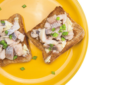 Two toast with salted herring on yellow plate isolatedの写真素材