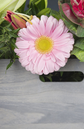 Pink Gerbera in bouquet in wooden boxの写真素材