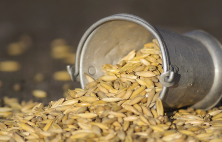 bucket spilling oatsの写真素材