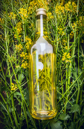 Bottle of oil on Rape Rape blossoms plans top viewの写真素材