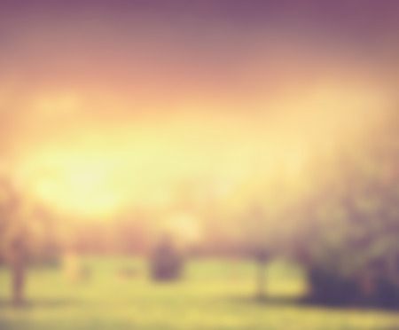 Blurred autumn nature background with tree grass and sunset skyの写真素材