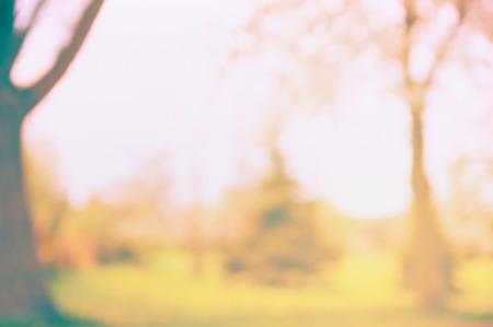 Blurred autumn or summer nature background with tree and  lawnの写真素材