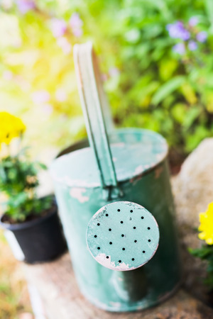 Old green watering can on flowers in garden bed close upの写真素材