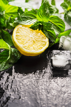 Lemon mint and ice cubes on dark slate background wet place for textの写真素材