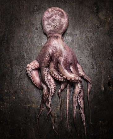 Raw octopus on rustic wooden background, top viewの写真素材