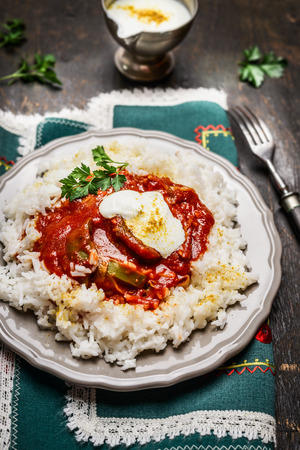 rice with meat,vegetables and  tomato and yoghurt sauce , close upの写真素材