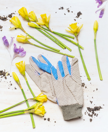 Various spring flowers and garden work gloves on white wooden background, top view. Gardening concept.の写真素材