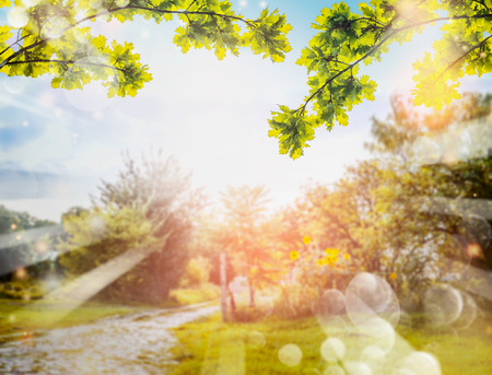Green foliage over Country nature background with sun rays and bokeh. Summer countryside nature backgroundの写真素材