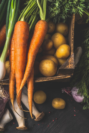 Autumn  harvest  vegetables for tasty vegetarian cooking on dark rustic background, top view, close upの写真素材