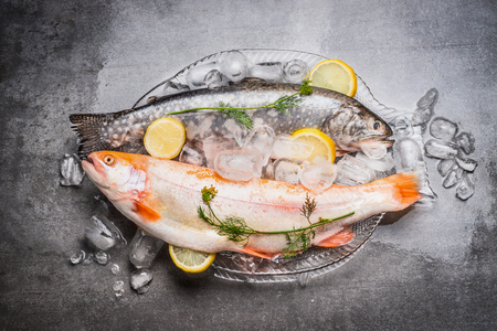 Raw whole trout fish and Gold Rainbow trout in glass plate in the form of fish on concrete stone background with ice cubes, top view. Healthy or diet food conceptの写真素材