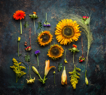Various autumn plant and flowers on dark vintage background, top view, flat layの写真素材