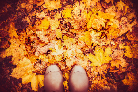 Rubber boots on autumn leaves , top view, fall nature background, outdoorの写真素材