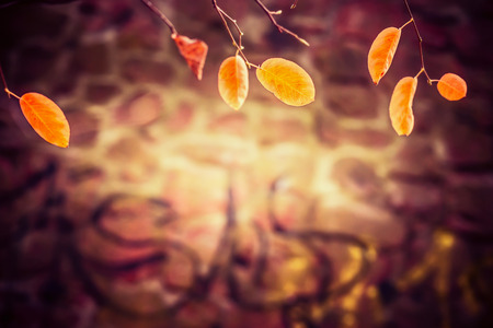 Lovely autumn background with gold leaves, outdoorの写真素材