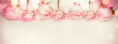 Pink rose floral border with bokeh lighting, pastel color,  bannerの写真素材
