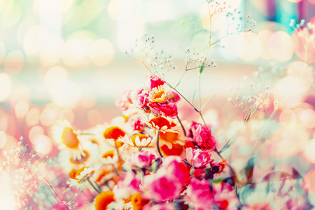 Summer or spring flowers at sunny bokeh background, selective focusの写真素材