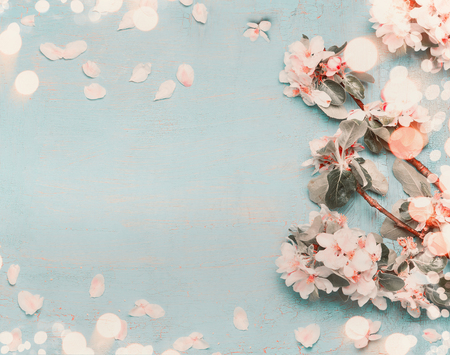 Pretty spring blossom on light blue background with bokeh, top view, pastel color, borderの写真素材