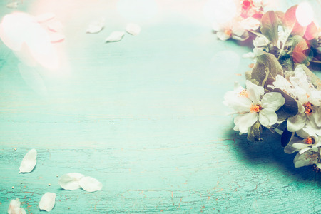 Pretty spring blossom with bokeh lighting on  turquoise blue wooden background , top view, frame....
