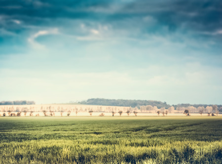 Beautiful summer landscape background , outdoor natureの写真素材